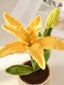 yellow
