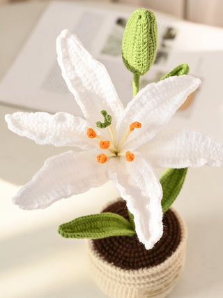 Handmade crochet white lily flower in a pot with green leaves and bud