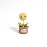 Smiley Marigold