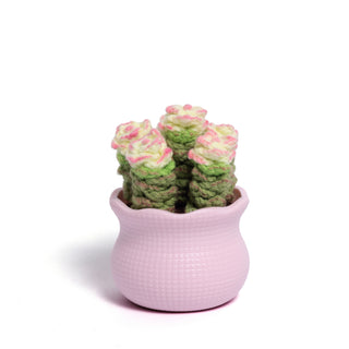 Tranquil Succulent Garden Collection - Happy Vanilla Crochet