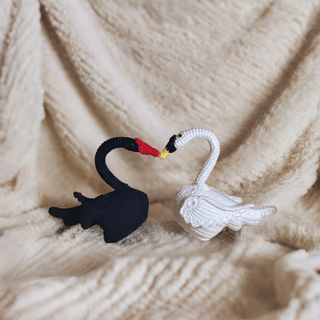 Black and White Swan Couple