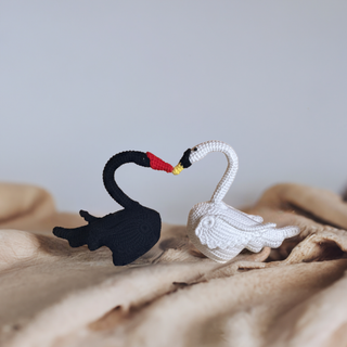 Black and White Swan Couple