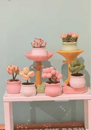 Jardin de plantes succulentes artisanal aux tons pastel