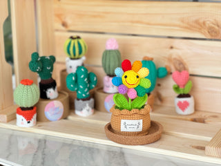 Cactus en pots crochetés