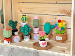 Cactus en pots crochetés