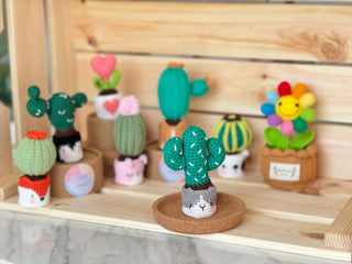 Cactus en pots crochetés