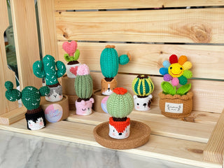 Cactus en pots crochetés