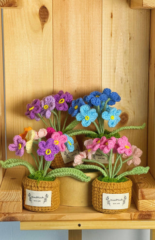 Cactus Crocheted pots