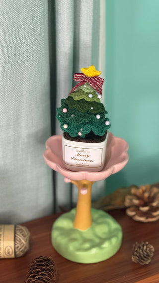 Cactus Crocheted pots