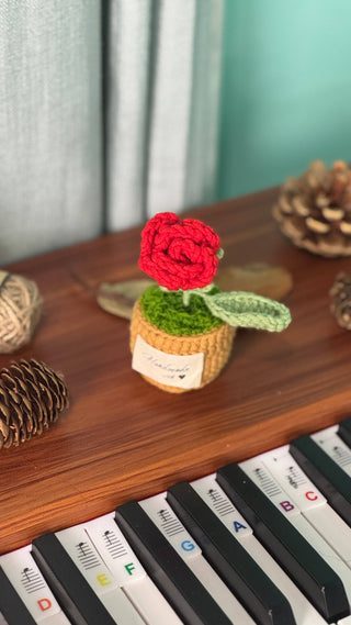 Coeur crocheté Love Blossom avec roses et plantes 