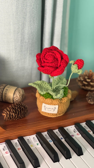 Love Blossom Crocheted Heart Roses and Plants