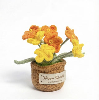 Forget Me Not - Best Gift Option