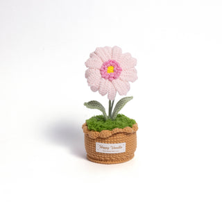 XXL Pot Plants : Larger the size, Bigger the smile - Happy Vanilla Crochet