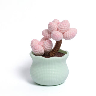Tranquil Succulent Garden Collection - Happy Vanilla Crochet