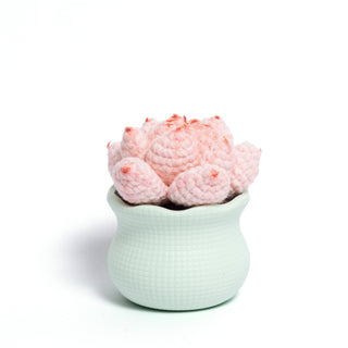 Tranquil Succulent Garden Collection - Happy Vanilla Crochet