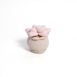 Soft Crochet Succulent Plants - Happy Vanilla Crochet