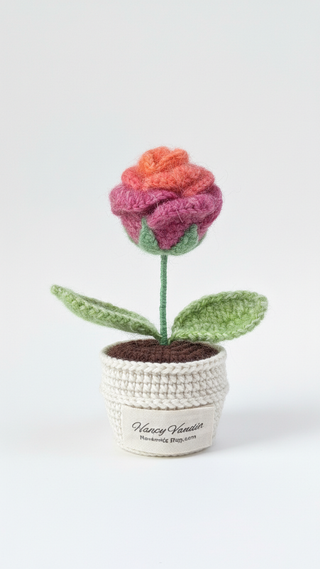 Queen Rose Sunset Ombre