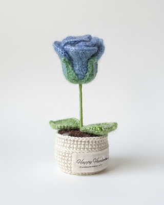 Queen Rose Midnight Serenade