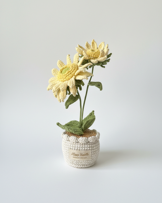 Dawn's Eye Daisies Yellow