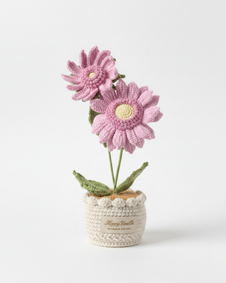 Dawn's Eye Daisies Pink