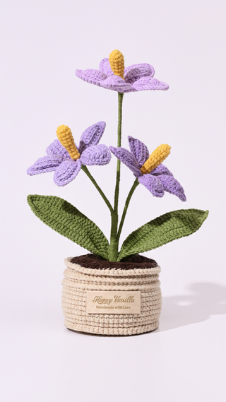 The Flamingo Heart Anthurium