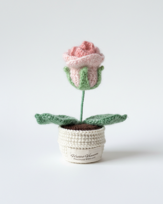 Queen Rose Blush Whisper