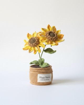 Sun-Chaser Sunflower