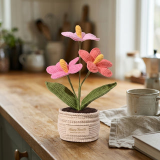 crochet anthurium flower The Flamingo Heart Anthurium