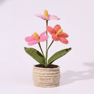 Happy Vanilla Crochet