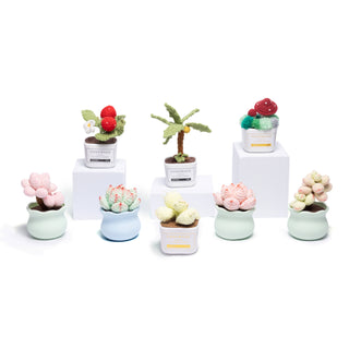 Tranquil Succulent Garden Collection - Happy Vanilla Crochet